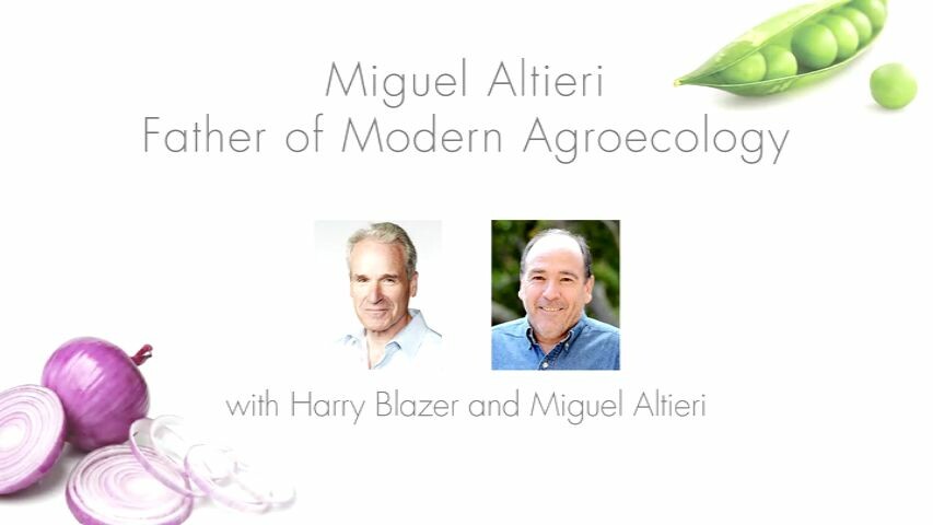 Solari Food Series – Dr. Miguel Altieri: Father of Modern Agroecology